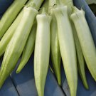 2 G Silver Queen Okra Seeds,  Vegetable Gardening seeds    #IEB16