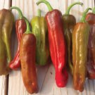250 Mg Italian Pepperoncini Hot Pepper  seeds    #IEB16