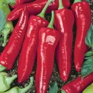 250 Mg Big Jim Hot Pepper   Seeds, easy to grow  #IEB16