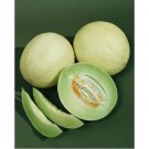 1 G Green Flesh Honeydew Melon Seeds      #IEB16