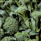 1 G Di Cicco Broccoli Seeds  , Vegetable Gardening easy to grow  #IEB16
