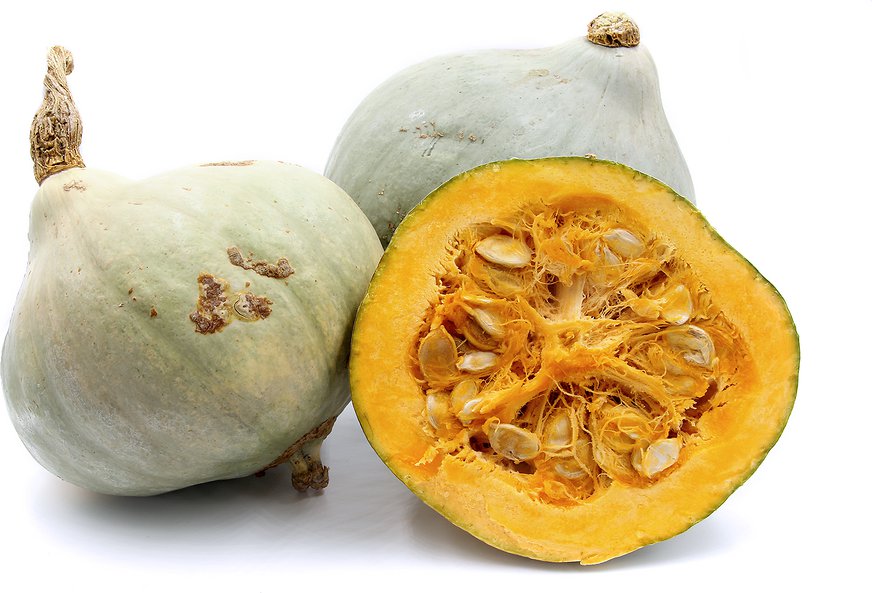 Vegetable seeds Hubbard Blue Squash 4 G, easy to grow    #IEB16