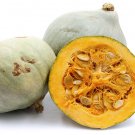 Vegetable seeds Hubbard Blue Squash 4 G, easy to grow    #IEB16