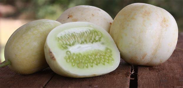 1 G Crystal Apple Cucumber Seeds, Vegetable Gardening seeds #IEB16