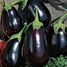 250 mg black beauty eggplant  seeds, easy to grow   #IEB16
