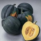4 G Table Queen Acorn Winter Squash   Seeds     #IEB16