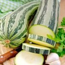 4 G Caserta Zucchini Seeds, Vegetable Gardening Squash seeds   #IEB16