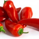 Vegetable Garden seeds, 250 Mg Fresno Chile Hot Pepper  30 Seeds     #IEB16