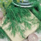 1 G Dil Bouquet Herb Seeds, Culinary Herbal Garden   #IEB16