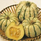4 G Sweet Dumpling Winter Squash   Seeds  , Vegetable Gardening seeds #IEB16