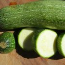 4 g grey zucchini squash seeds     #IEB16