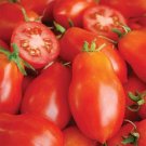 25 Seeds Italian Roma Tomato  , Vegetable Gardening Seeds   #IEB16