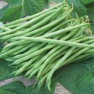 37 seedsTenderette Green Bean, Vegetable Garden seeds   #IEB16