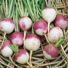 2 G Purple Top White Globe Turnip Seeds, great for vegetable garden seedds     #IEB16