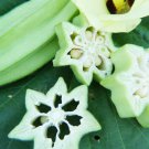 2 G Star Of David Okra Seeds  , Vegetable Gardening seeds  #IEB16