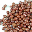 15 G Packet Adzuki Bean Sprouting  seeds #IEB16