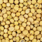 30 G Packet Soybeans   Seeds   #IEB16
