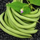 30 G Black Valentine Bush Bean   Seeds   #IEB16