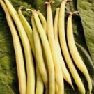 30 G Pk Goldrush Wax Bush Beans   Seeds, vegtable garden seeds   #IEB16