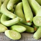 1 G Armenian Cucumber Seeds   , Vegetable Garden seeds    #IEB16