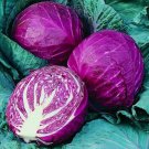 500 Mg Red Acre Cabbage  110 Seeds, easy to grow    #IEB16