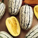 3 G Bush Delicata Winter Squash  Seeds, easy to grow    #IEB16