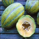 1 G Bidwell Casaba Melon Seeds, Vegetable Gardening fruit seeds   #IEB16