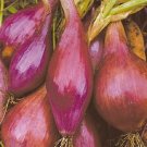 Vegetable Gardening seeds, 1 G  Red Torpedo Onion Seeds      #IEB16
