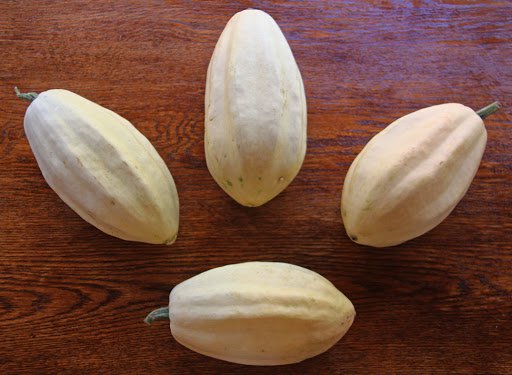 4 G Organic Fordhook Acorn Squash   Seeds,vegetable garden seeds      #IEB16