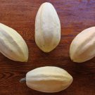 4 G Organic Fordhook Acorn Squash   Seeds,vegetable garden seeds      #IEB16