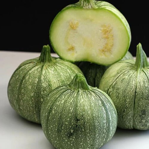 4 g ronde de nice summer squash   seeds, easy to grow   #IEB16