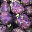 Vegetable seeds Purple Italian Globe Artichoke, 1 G   Seeds    #IEB16
