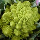 100 seeds Romanesco Broccoli,  Exotic Garden Italia Vegetables        #IEB19