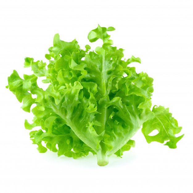 1000 Vegetable Seeds Green Oakleaf Lettuce    #IEB30