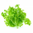 1000 Vegetable Seeds Green Oakleaf Lettuce    #IEB30