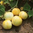 Lemon yellow Cucumber  35 vegetable seeds, easy to seeds   #IEB30