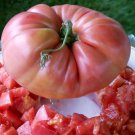 30 vegetable seeds Giant Belgium Pink Tomato    #IEB30
