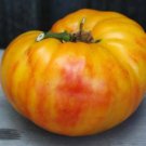 30 vegetable seeds Gold Medal Tomato     #IEB30