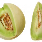35 vegetable seeds  Honey Dew Melon. Easy to grow       #IEB30