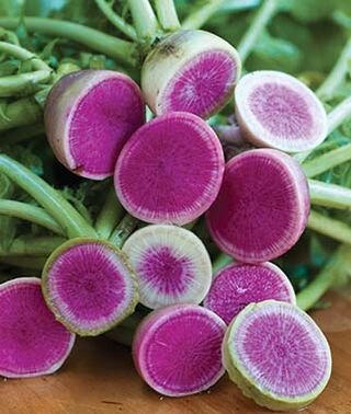 200 Vegetable Seeds Watermelon Radish  #IEB30