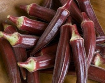75 vegetable seeds Red Burgundy Okra      #IEB30
