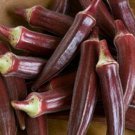 75 vegetable seeds Red Burgundy Okra      #IEB30