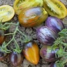 Vegetable Seeds Brad's Atomic Grape Tomato, 20 - 30 seeds   #IEB30