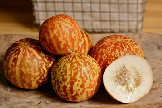 15 fruit seeds Tigger Melon, easy to grow      #IEB30