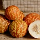 15 fruit seeds Tigger Melon, easy to grow      #IEB30