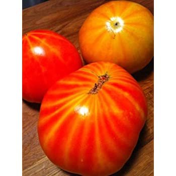 Mr Stripey Tomato   Heirloom, 30 Vegetable Seeds   #IEB30