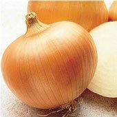 150 Vegetable Seeds Spanish Yellow Sweet Onion     #IEB30