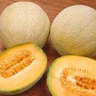 35 vegetable Seeds  Honey Rock Cantaloupe      #IEB30