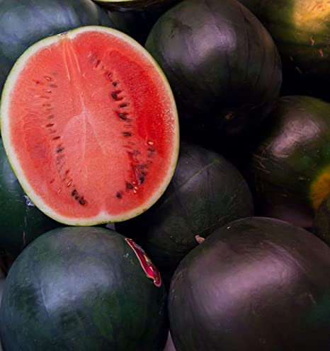 Fruit seeds  Black Diamond Watermelon, 20 Seeds         #IEB30