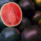 Fruit seeds  Black Diamond Watermelon, 20 Seeds         #IEB30